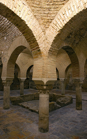 pulsa para ampliar la imagen: Detalle de la Sala Templada